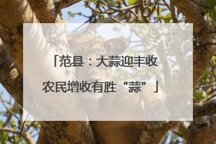 范县：大蒜迎丰收 农民增收有胜“蒜”