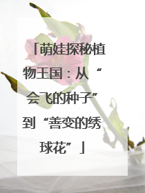 萌娃探秘植物王国：从“会飞的种子”到“善变的绣球花”