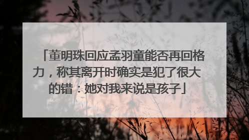 董明珠回应孟羽童能否再回格力，称其离开时确实是犯了很大的错：她对我来说是孩子