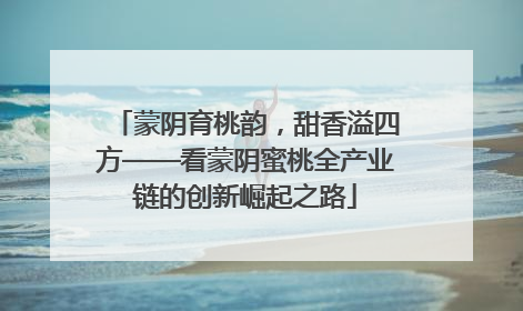 蒙阴育桃韵，甜香溢四方——看蒙阴蜜桃全产业链的创新崛起之路