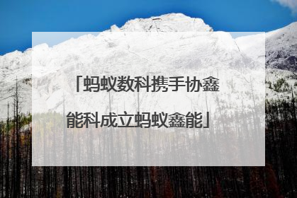 蚂蚁数科携手协鑫能科成立蚂蚁鑫能