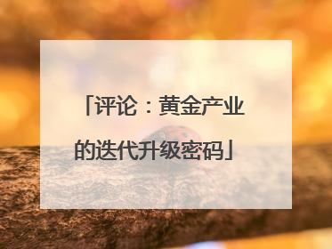 评论：黄金产业的迭代升级密码