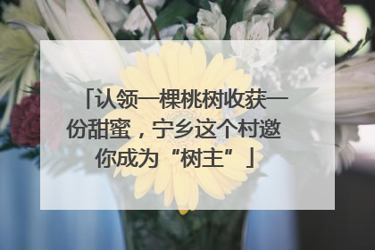 认领一棵桃树收获一份甜蜜，宁乡这个村邀你成为“树主”