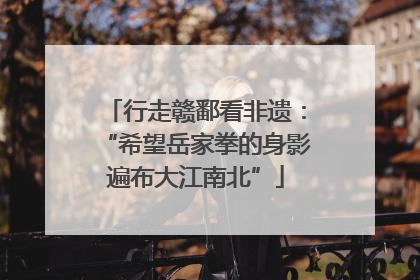行走赣鄱看非遗：“希望岳家拳的身影遍布大江南北”