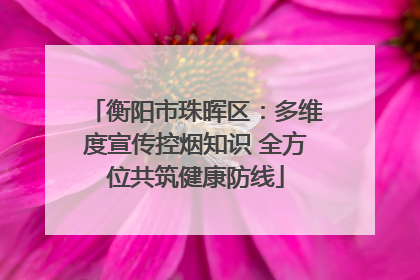衡阳市珠晖区：多维度宣传控烟知识 全方位共筑健康防线