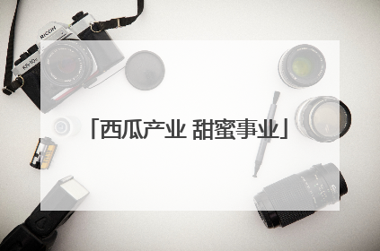 西瓜产业 甜蜜事业