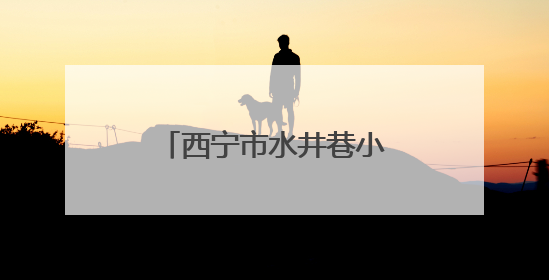 西宁市水井巷小学：牢记党的教导 争做强国少年