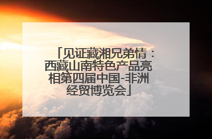 见证藏湘兄弟情：西藏山南特色产品亮相第四届中国-非洲经贸博览会