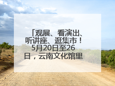 观展、看演出、听讲座、逛集市！5月20日至26日，云南文化馆里玩场多