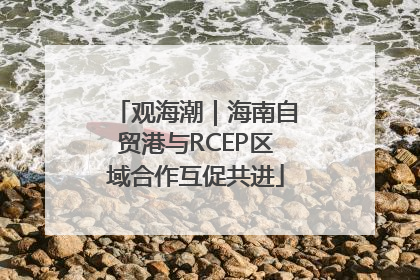 观海潮｜海南自贸港与RCEP区域合作互促共进