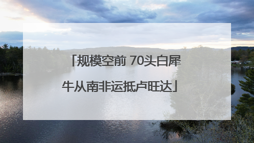 规模空前 70头白犀牛从南非运抵卢旺达