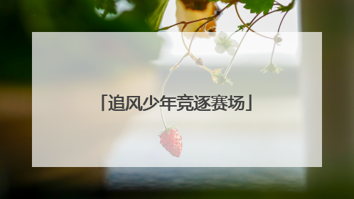 追风少年竞逐赛场