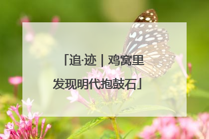 追·迹｜鸡窝里发现明代抱鼓石