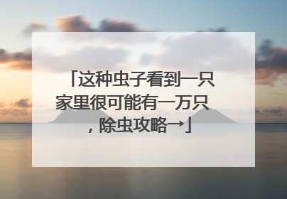 这种虫子看到一只家里很可能有一万只，除虫攻略→