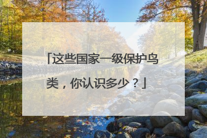 这些国家一级保护鸟类，你认识多少？