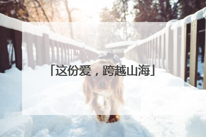 这份爱，跨越山海