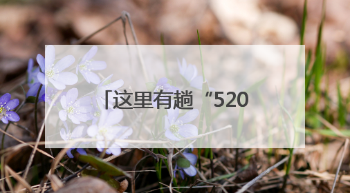 这里有趟“520”路婚庆公交车