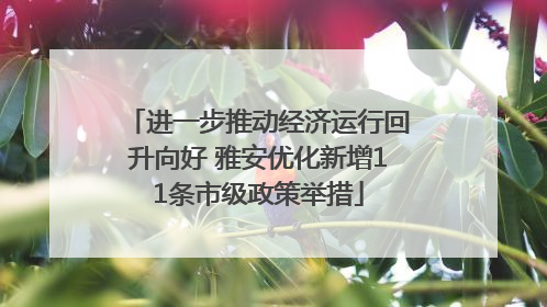 进一步推动经济运行回升向好 雅安优化新增11条市级政策举措