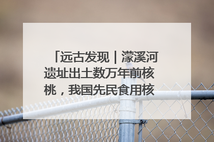 远古发现｜濛溪河遗址出土数万年前核桃，我国先民食用核桃历史大幅提前