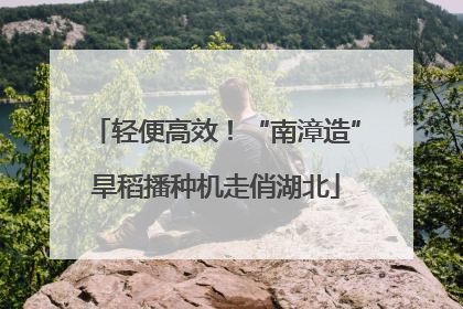 轻便高效！“南漳造”旱稻播种机走俏湖北