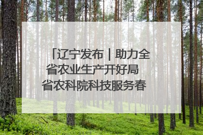 辽宁发布｜助力全省农业生产开好局 省农科院科技服务春耕备耕成效显著