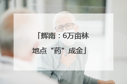 辉南：6万亩林地点“药”成金
