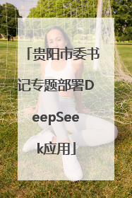 贵阳市委书记专题部署DeepSeek应用