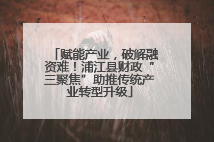 赋能产业，破解融资难！浦江县财政“三聚焦”助推传统产业转型升级