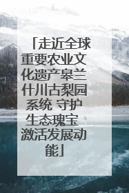 走近全球重要农业文化遗产皋兰什川古梨园系统 守护生态瑰宝 激活发展动能