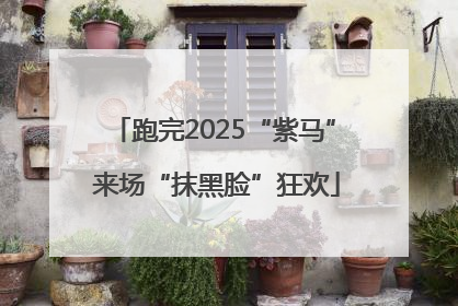 跑完2025“紫马” 来场“抹黑脸”狂欢