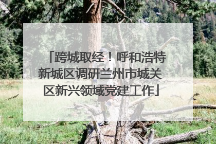跨城取经！呼和浩特新城区调研兰州市城关区新兴领域党建工作