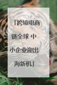 跨境电商链全球 中小企业迎出海新机