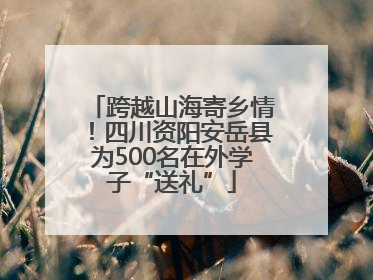 跨越山海寄乡情！四川资阳安岳县为500名在外学子“送礼”
