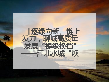 逐绿向新、链上发力，聊城高质量发展“提级换挡”——江北水城“焕新”记