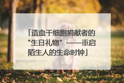 造血干细胞捐献者的“生日礼物”——重启陌生人的生命时钟