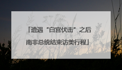 遭遇“白宫伏击”之后 南非总统结束访美行程