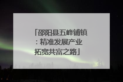 邵阳县五峰铺镇：精准发展产业 拓宽共富之路