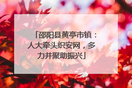 邵阳县黄亭市镇：人大牵头织安网，多力并聚助振兴