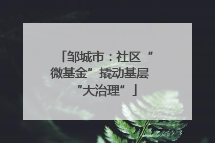 邹城市：社区“微基金”撬动基层“大治理”
