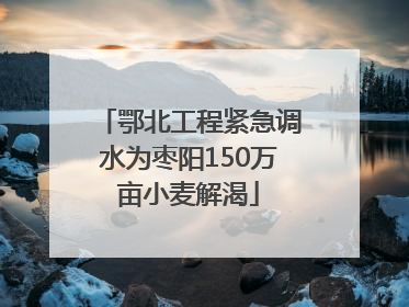 鄂北工程紧急调水为枣阳150万亩小麦解渴