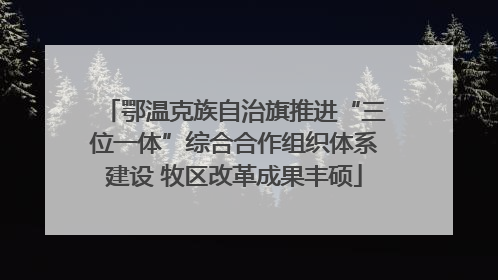 鄂温克族自治旗推进“三位一体”综合合作组织体系建设 牧区改革成果丰硕