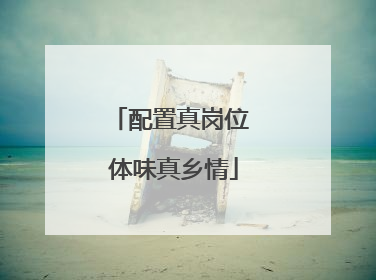 配置真岗位 体味真乡情