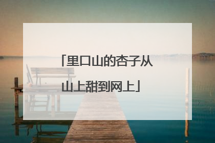 里口山的杏子从山上甜到网上