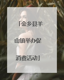 金乡县羊山镇举办促消费活动