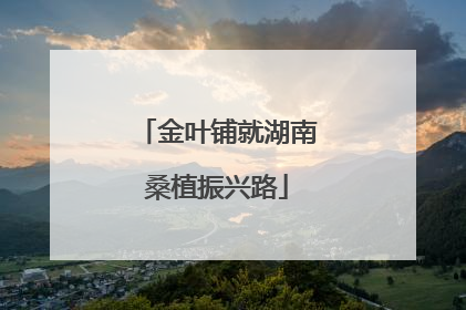 金叶铺就湖南桑植振兴路
