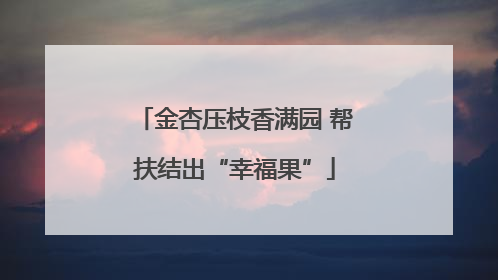 金杏压枝香满园 帮扶结出“幸福果”