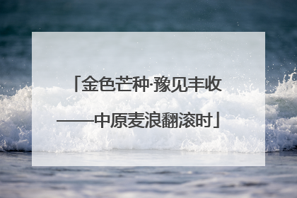 金色芒种·豫见丰收——中原麦浪翻滚时