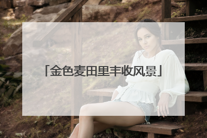 金色麦田里丰收风景