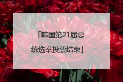 韩国第21届总统选举投票结束