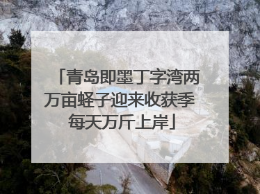 青岛即墨丁字湾两万亩蛏子迎来收获季 每天万斤上岸